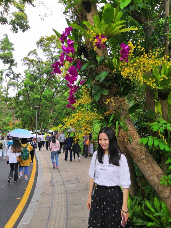 QQ圖片20190404154902