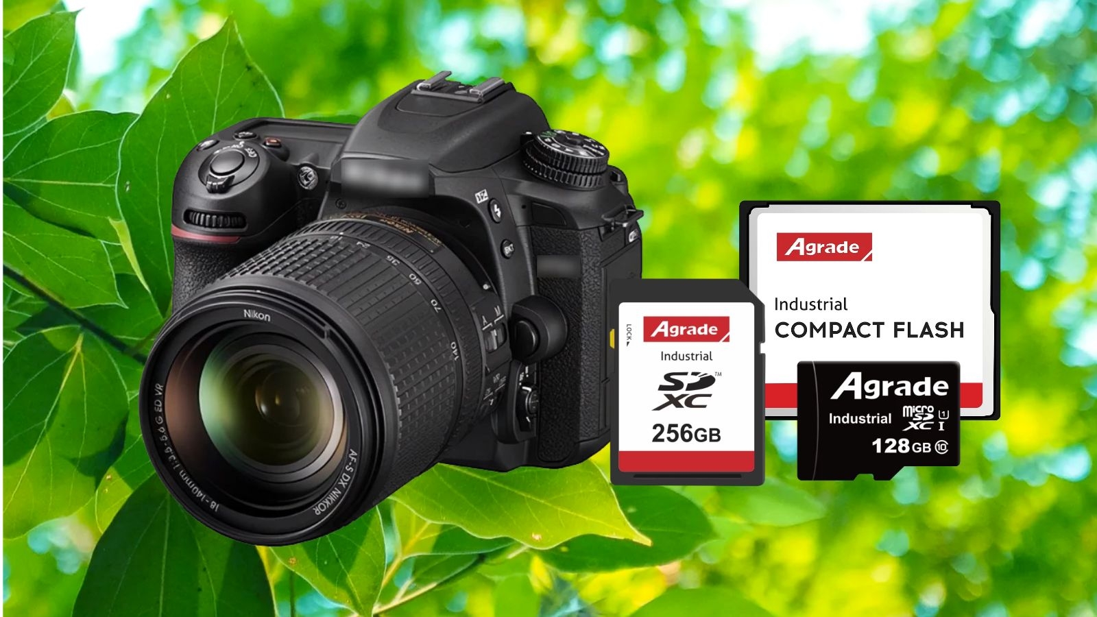 春天，單反會飛！